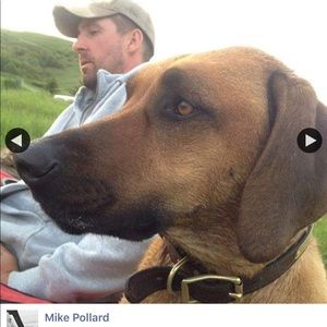 Meet your Posher, Michael